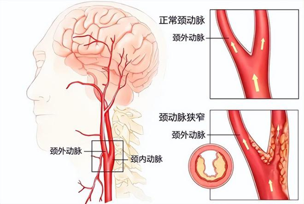 微信图片_20240930090427.png