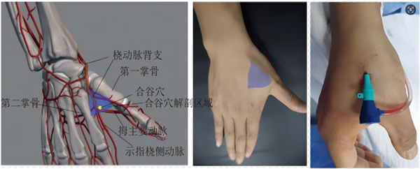 微信图片_20250416091530.jpg