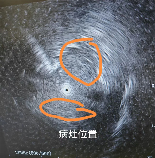 微信图片_20250515090829.jpg