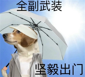 微信图片_20250619093015.jpg