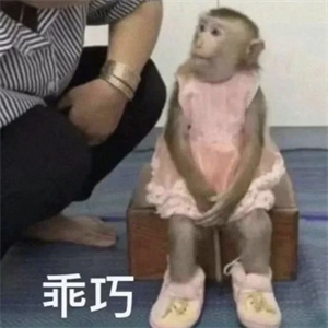 微信图片_20250710095409.jpg