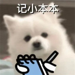 微信图片_2025-09-12_085727_873.jpg