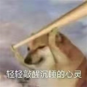 微信图片_2025-10-31_171109_727.jpg 微信图片_2025-10-31_171109_727.jpg