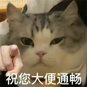 微信图片_2025-10-31_171112_245.jpg 微信图片_2025-10-31_171112_245.jpg