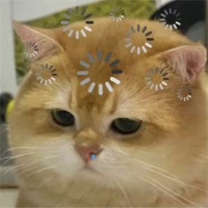 微信图片_2025-12-22_175650_864.jpg 微信图片_2025-12-22_175650_864.jpg