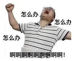 DM_20260213095901_002.jpg DM_20260213095901_002.jpg