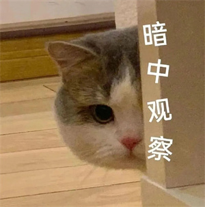 微信图片_2026-07-23_135508_260.jpg 微信图片_2026-07-23_135508_260.jpg