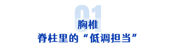 image_10.jpg